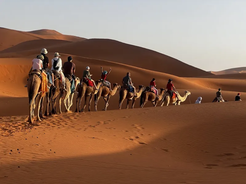 Day Trips and Nearby Excursions from Marrakech: Your Ultimate Guide