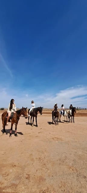 Marrakech : Visite privée à cheval dans la palmeraie avec thé - activities for rent on RENTS.ma