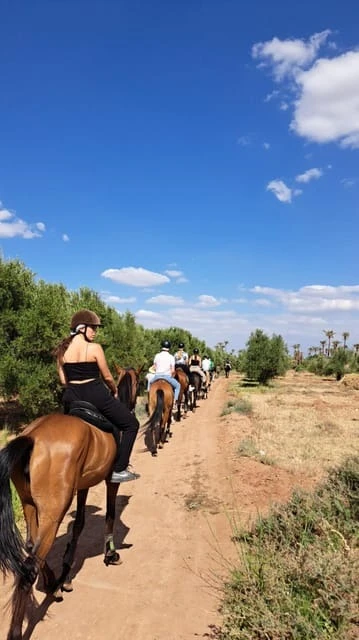 Marrakech : Visite privée à cheval dans la palmeraie avec thé - activities for rent on RENTS.ma