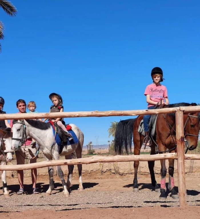 Cours d'équitation pour débutants - activities for rent on RENTS.ma