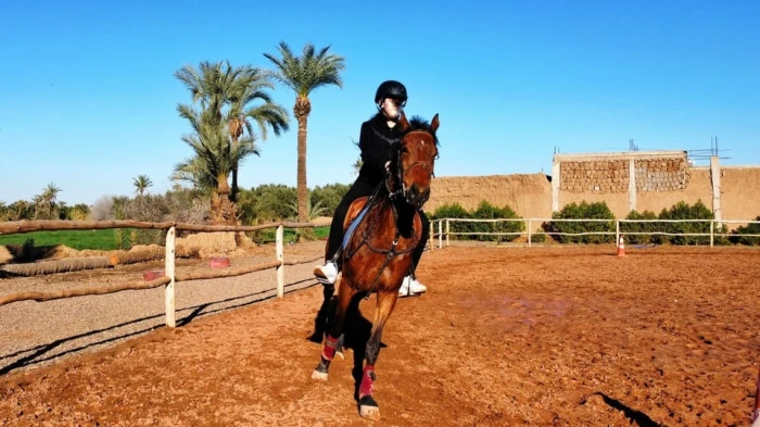 Marrakech : Visite privée à cheval dans la palmeraie avec thé - activities for rent on RENTS.ma