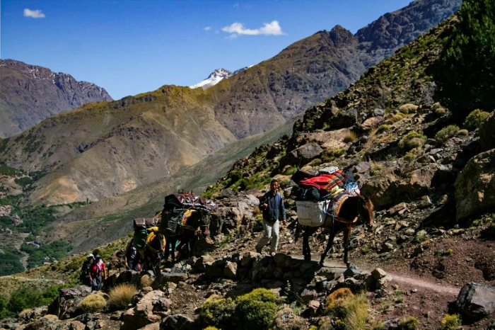 Toubkal Express - activities for rent on RENTS.ma