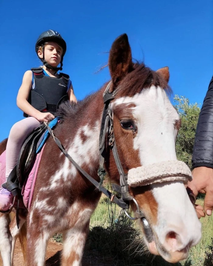 Cours d'équitation pour débutants - activities for rent on RENTS.ma