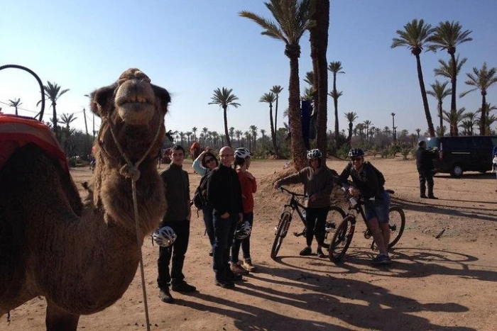 The Palmery Off-Road Bike Tour from Marrakech - activities for rent in marrakech - RENTS.ma