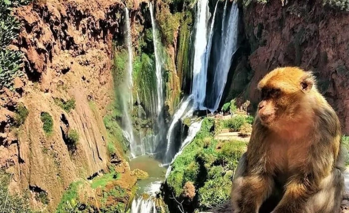 From Marrakech: Ouzoud Waterfalls Guided Hike and Boat Trip - activities for rent in marrakech - RENTS.ma