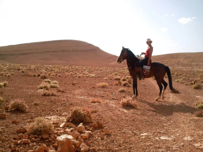 Horse Ride at Agafay - activities for rent in marrakech - RENTS.ma