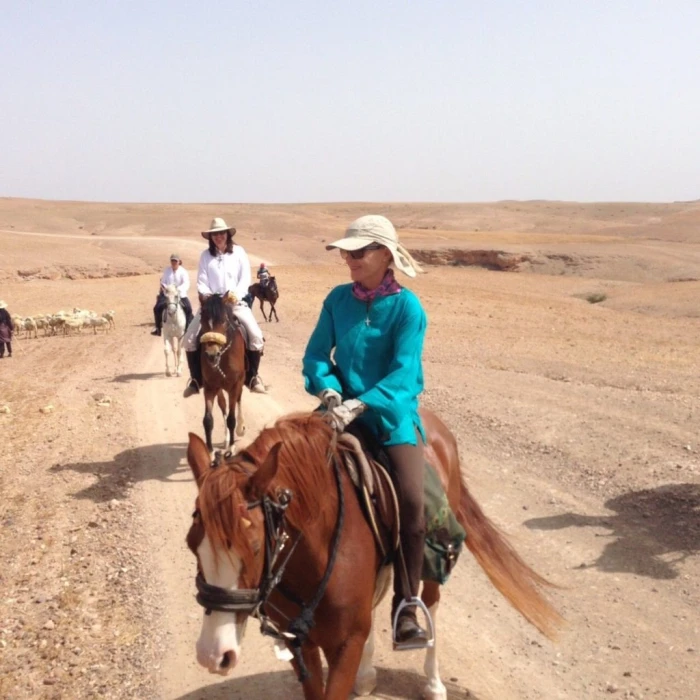 Horse Ride at Agafay - activities for rent in marrakech - RENTS.ma