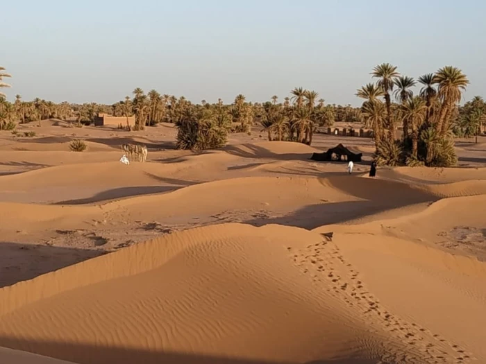 From Marrakech: Private Chegaga Desert Star Gazing 4WD Tour - activities for rent in rabat - RENTS.ma