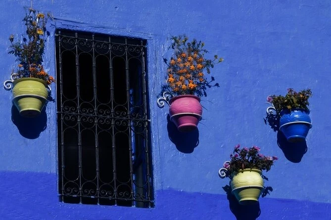 Day Trip to Chefchaouen From Fez with Local Expert - activities for rent in fes - RENTS.ma