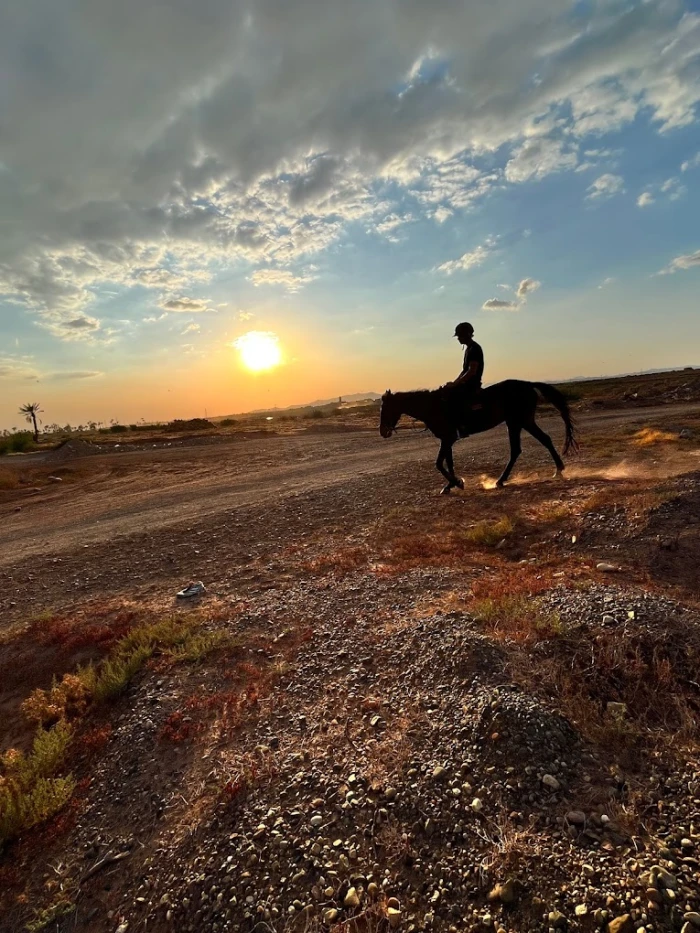 Equestrian & Horseback Riding Adventures - activities for rent in rabat - RENTS.ma