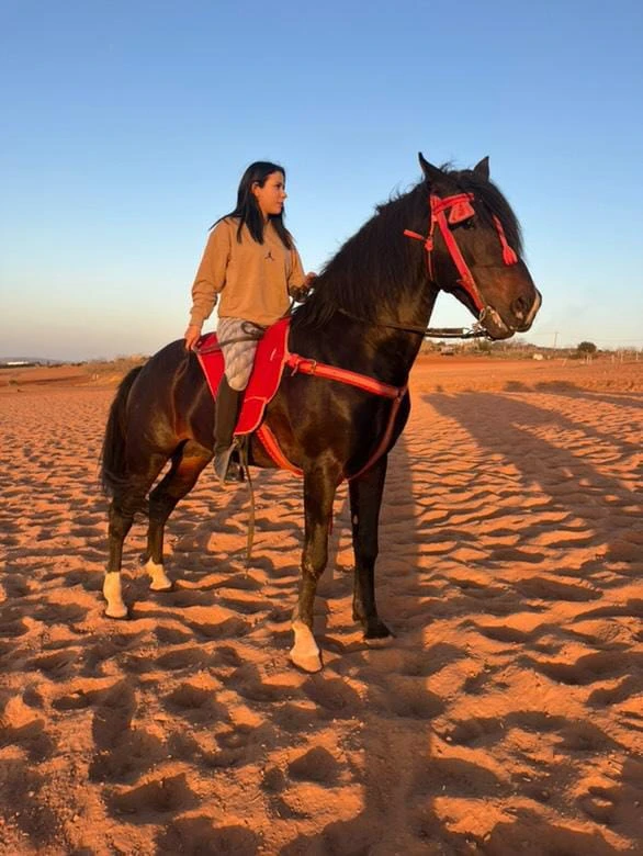 Equestrian & Horseback Riding Adventures - activities for rent in rabat - RENTS.ma