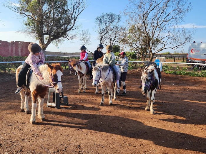 Horseback Riding Rabat - activities for rent in rabat - RENTS.ma