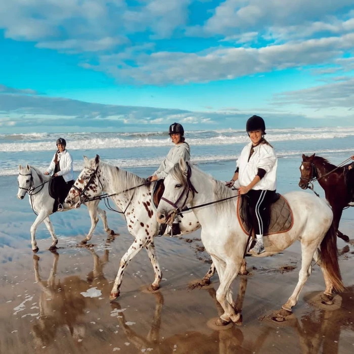 Horseback Riding Rabat - activities for rent in rabat - RENTS.ma