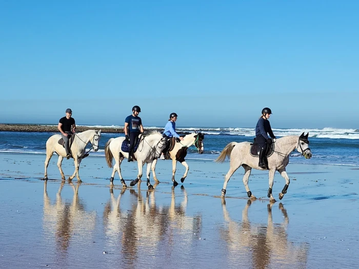 Horse Riding in Rabat - activities for rent in rabat - RENTS.ma