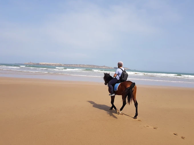 Horseback Riding in Rabat  - Equestrian Sport - activities for rent in rabat - RENTS.ma