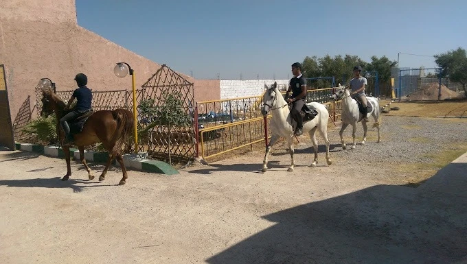 Club Al Adarissa d'Équitation – Fès - activities for rent in fes - RENTS.ma