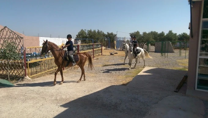 Club Al Adarissa d'Équitation – Fès - activities for rent in fes - RENTS.ma