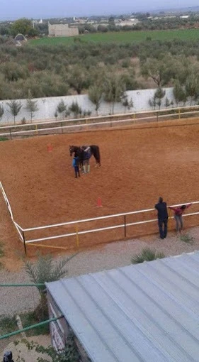 Club Al Adarissa d'Équitation – Fès - activities for rent in fes - RENTS.ma