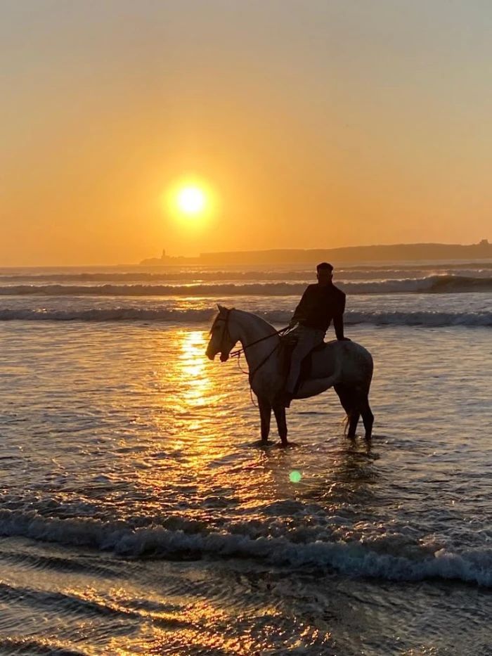 Les Cavaliers D'essaouira - Balades à cheval et randonnées - activities for rent in essaouira - RENTS.ma