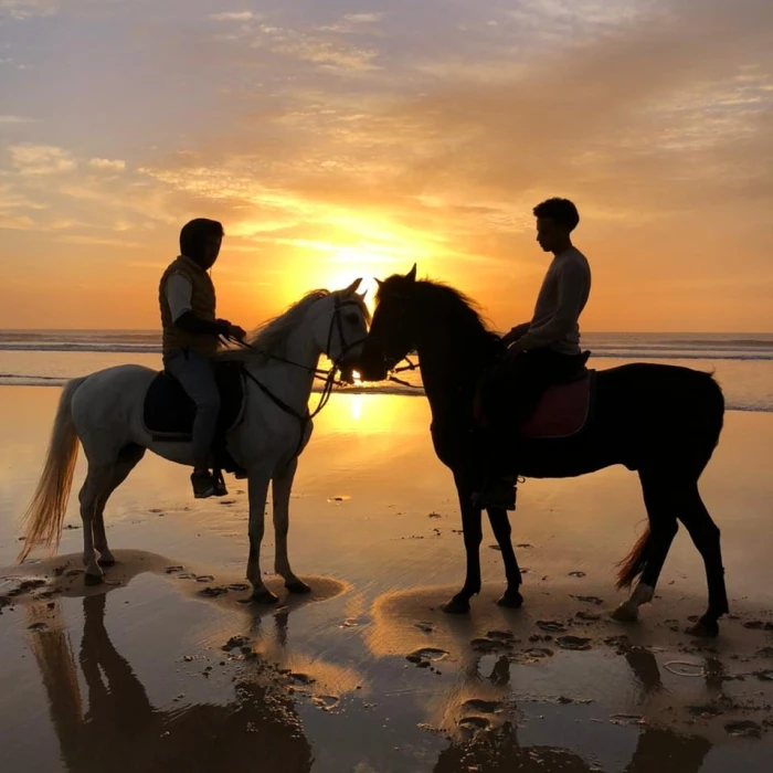 Horseback Riding - Les Cavaliers D’Essaouira - activities for rent in essaouira - RENTS.ma