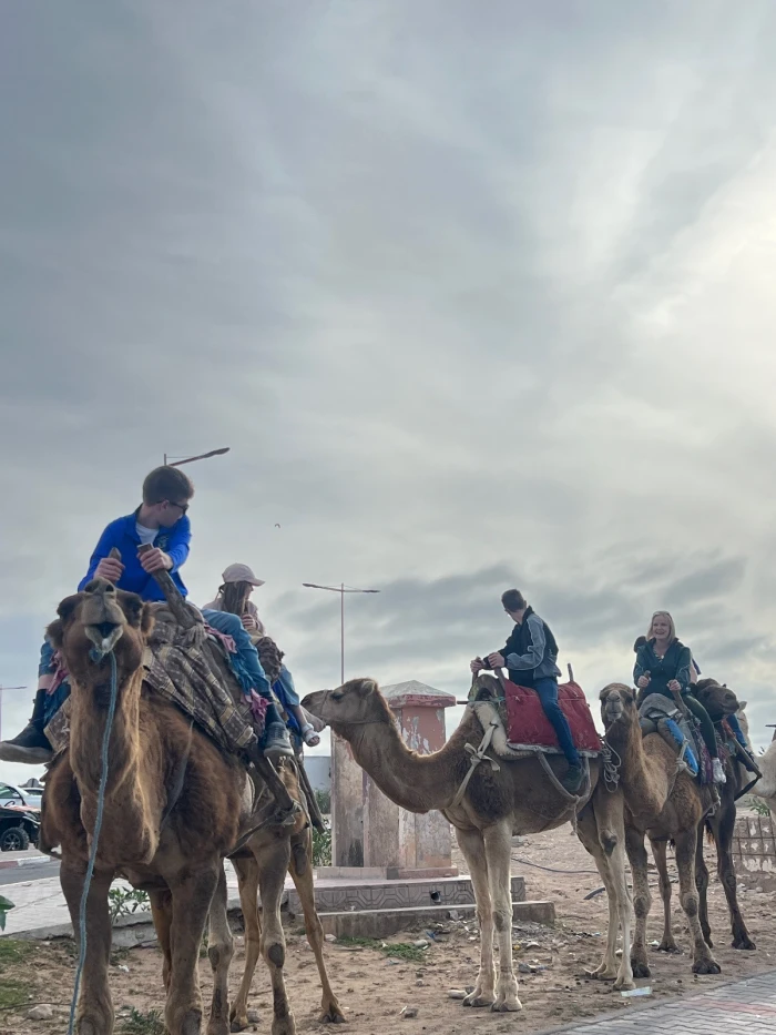 Camel Ride in Paradise – Essaouira - activities for rent in essaouira - RENTS.ma