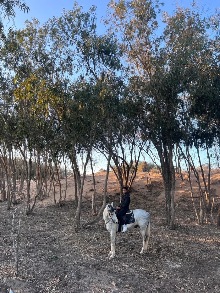 Horseback Riding in Essaouira - activities for rent in essaouira - RENTS.ma