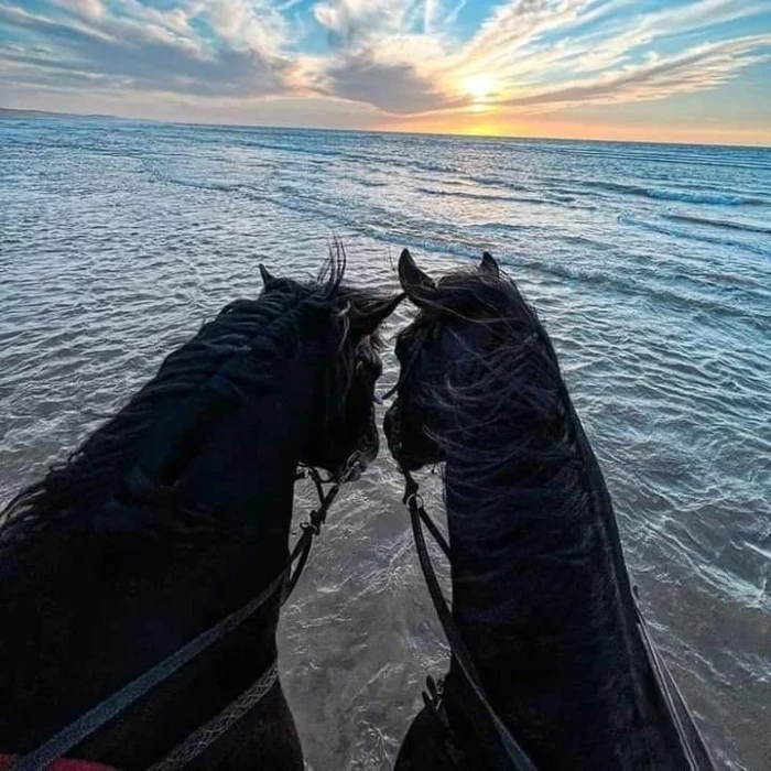 horseback riding El Jadida - Mazagan Horseriders - activities for rent in el-jadida - RENTS.ma