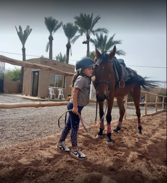 Cours d'équitation pour débutants - activities for rent on RENTS.ma