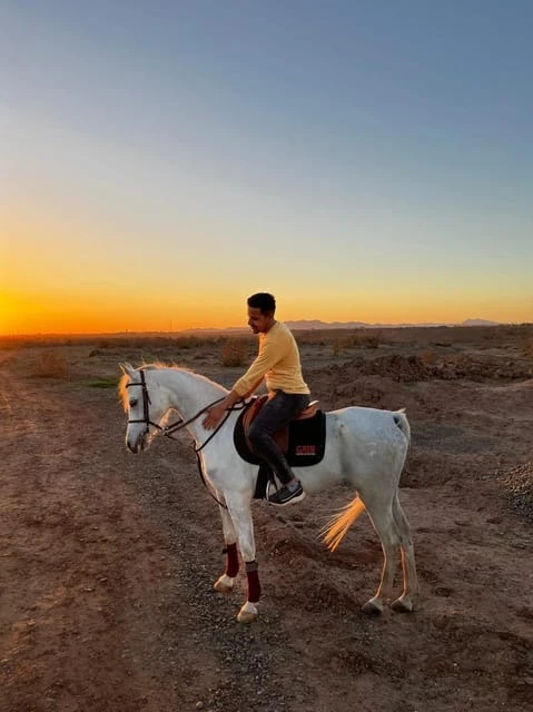 Marrakech : Visite privée à cheval dans la palmeraie avec thé - activities for rent on RENTS.ma