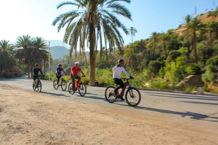 Paradis E-bike - Location de Vélos Agadir - bicycles for rent in agadir - RENTS.ma