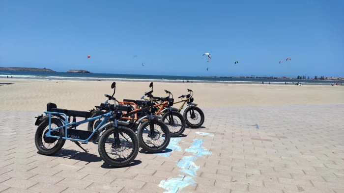 Essaouira  Bike Rentals - Lou's Rides - bicycles for rent in essaouira - RENTS.ma