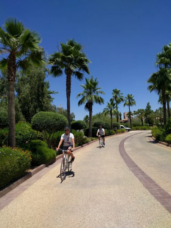 AXS Bike Tours & Bike Hire Marrakech - bicycles for rent in marrakech - RENTS.ma