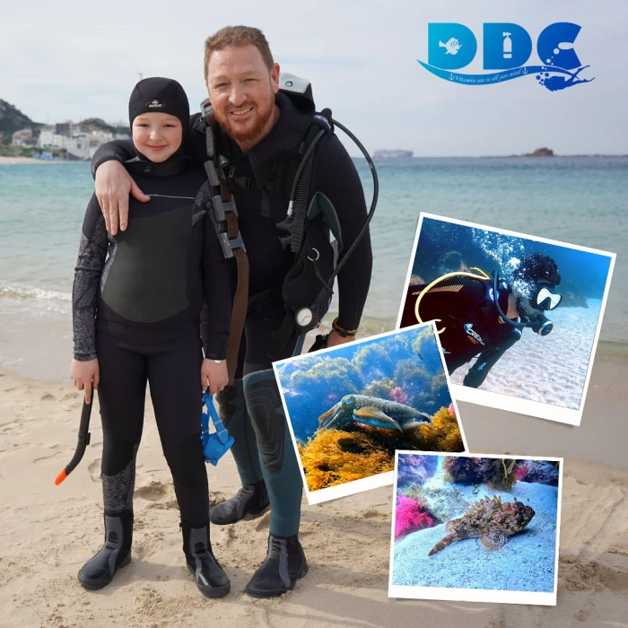 DALIA DIVING CENTER - Centre de plongée - Tanger - diving for rent on RENTS.ma