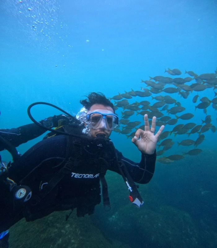 Scuba & Snorkelling in Tanger - Nemo diving - diving for rent in tangier - RENTS.ma