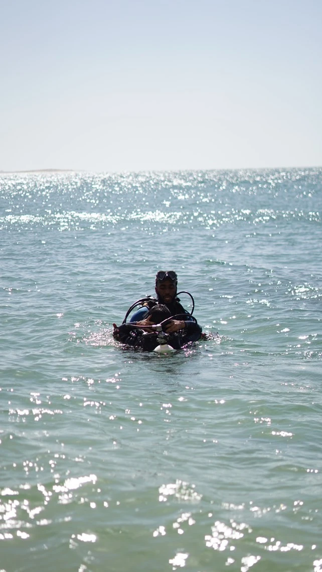 Dakhla Diving Club – Explore the Depths - diving for rent in dakhla - RENTS.ma