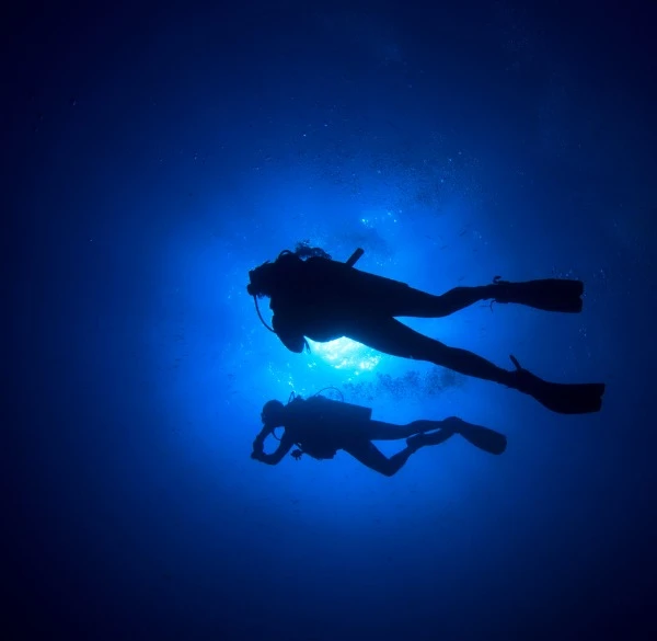Programme de Plongée Nocturne à la Plage de Bouatlaha – Dakhla - diving for rent in dakhla - RENTS.ma