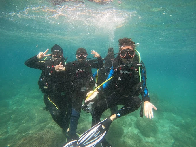 Moroccan Diving Center – Al Hoceima - diving for rent in hoceima - RENTS.ma