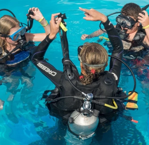Moroccan Diving Center – Al Hoceima - diving for rent in hoceima - RENTS.ma