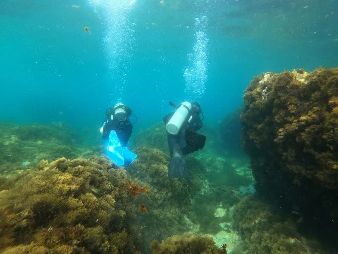 Alhoceima Scuba Trip - Plongée sous-marine - diving for rent in hoceima - RENTS.ma