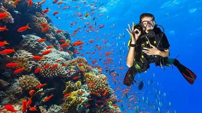 ScubaLife Belyounech - Dive into the Beauty of the Mediterranean - diving for rent in hoceima - RENTS.ma