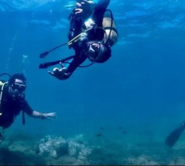 PADI Scuba Diving Courses – Samuku Adventures - diving for rent in nador - RENTS.ma
