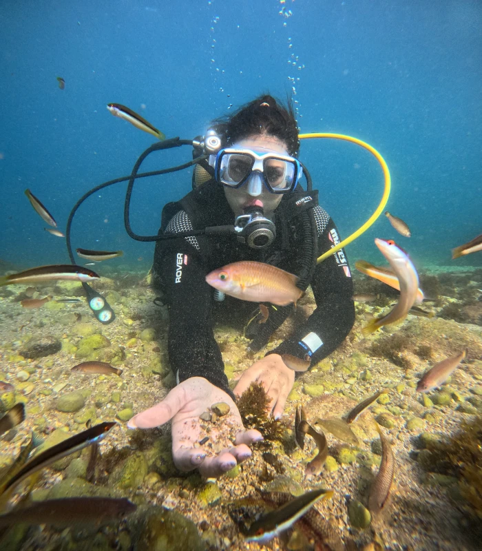 Centre de Plongée à Belyounech | Diving Belyounech - diving for rent on RENTS.ma