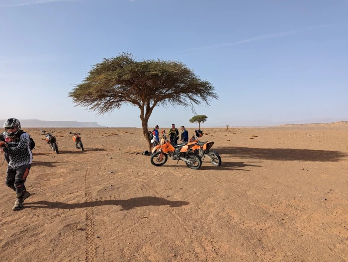 Motorcycle Rentals in Ouarzazate - Wilderness Wheels - motorcycles for rent in ouarzazate - RENTS.ma