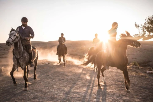 Horse Ride at Agafay - activities for rent in marrakech - RENTS.ma