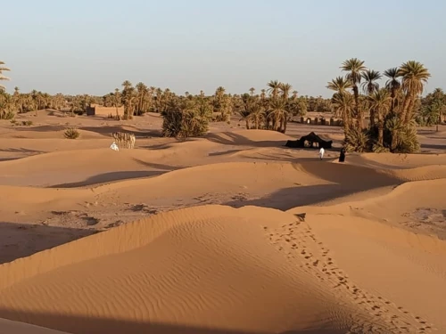 From Marrakech: Private Chegaga Desert Star Gazing 4WD Tour - activities for rent in rabat - RENTS.ma