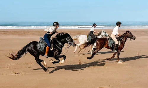 Equestrian & Horseback Riding Adventures - activities for rent in rabat - RENTS.ma