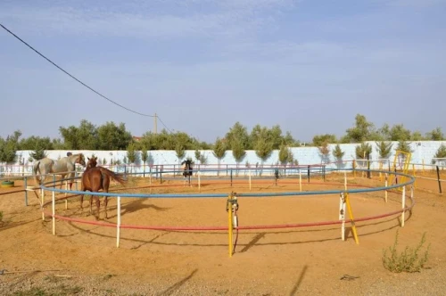 Club Al Adarissa d'Équitation – Fès - activities for rent in fes - RENTS.ma