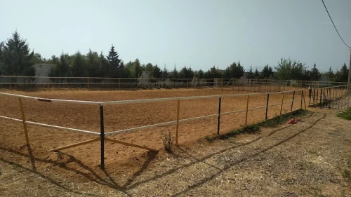 Club Al Adarissa d'Équitation – Fès - activities for rent in fes - RENTS.ma