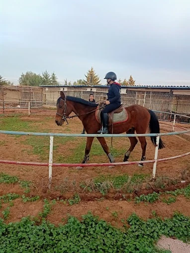 Club Al Adarissa d'Équitation – Fès - activities for rent in fes - RENTS.ma