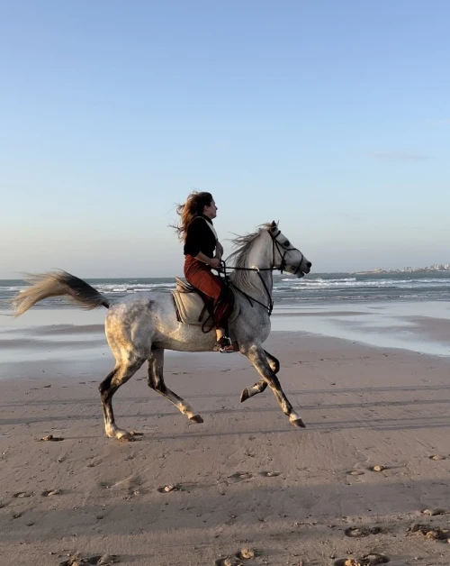 Les Cavaliers D'essaouira - Balades à cheval et randonnées - activities for rent in essaouira - RENTS.ma